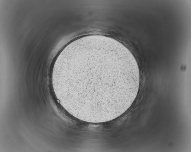 X0000112920055200910051118