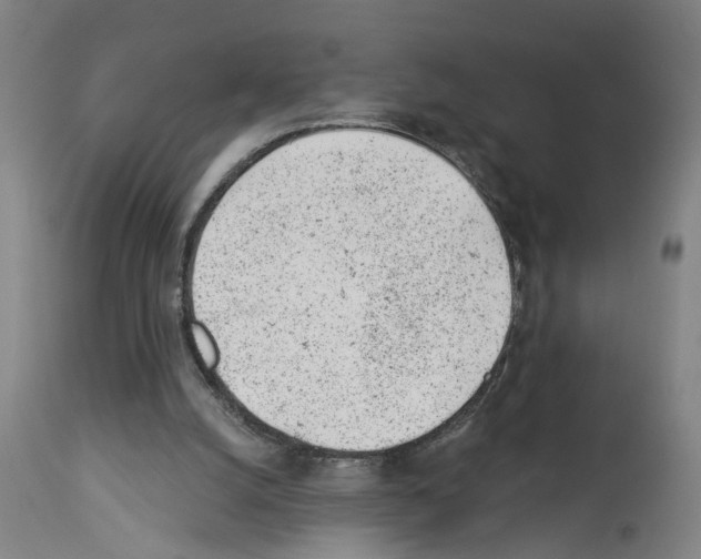X0000112920056200910051118