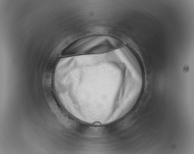 X0000112920057200910051118