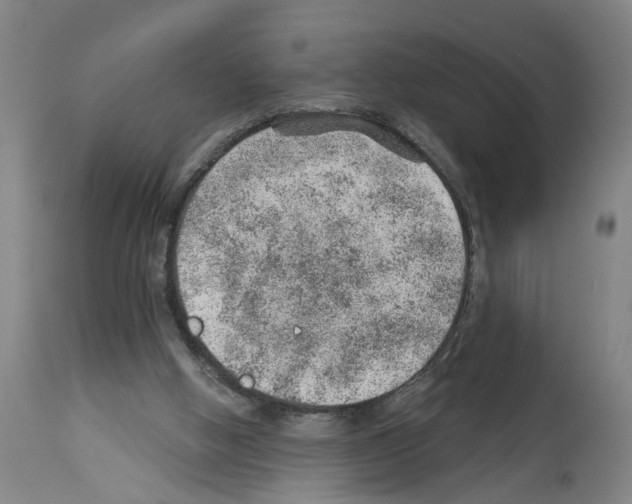 X0000112920058200910051118