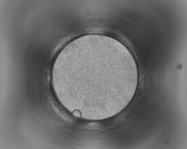 X0000112920059200910051118