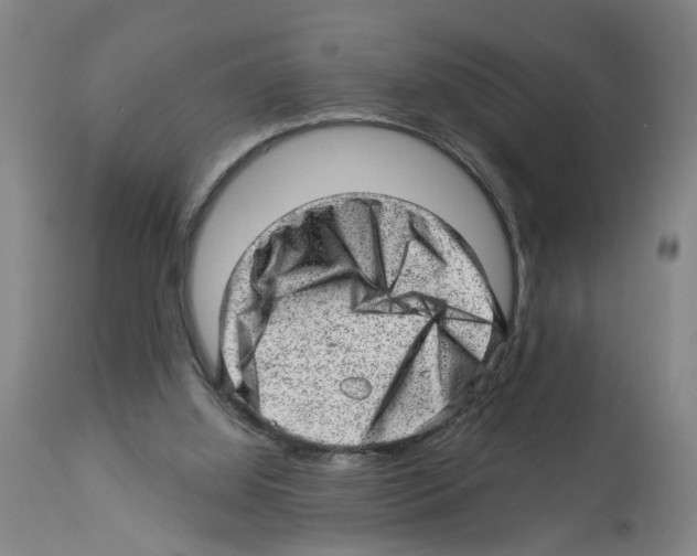 X0000112920060200910051118