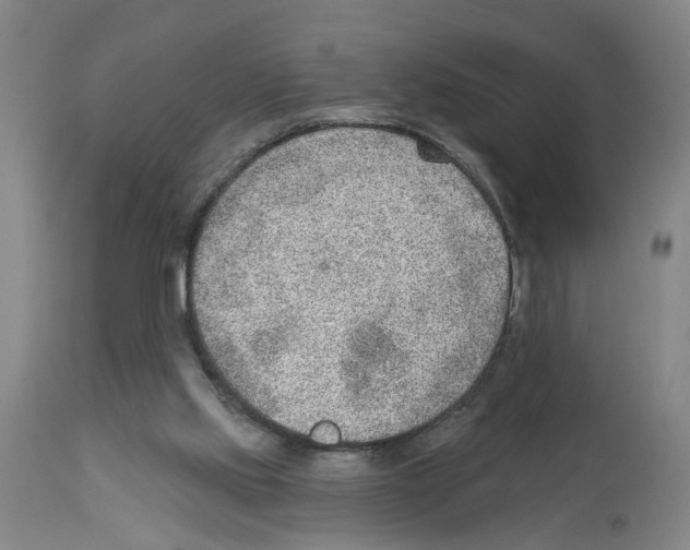X0000112920061200910051118