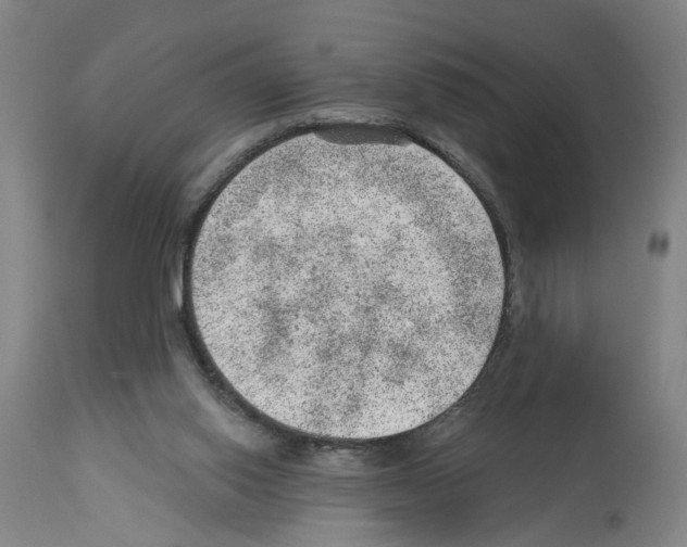 X0000112920062200910051118