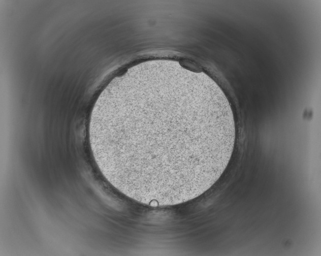 X0000112920063200910051118