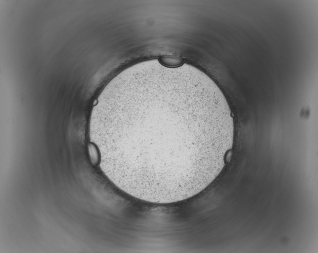 X0000112920064200910051118
