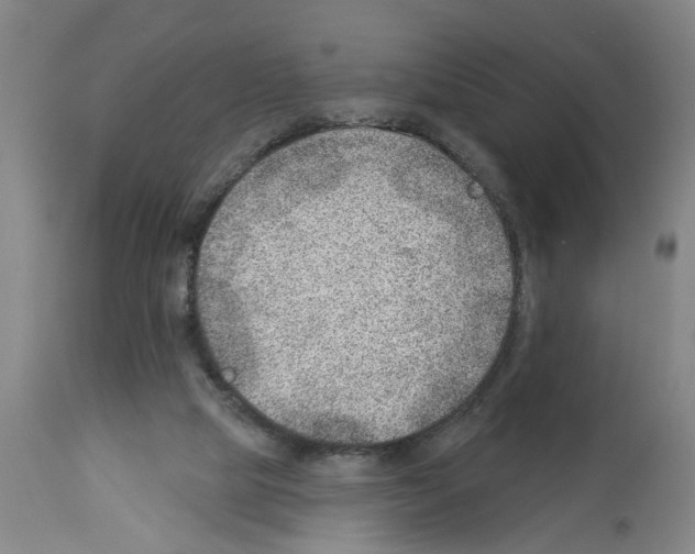 X0000112920065200910051118