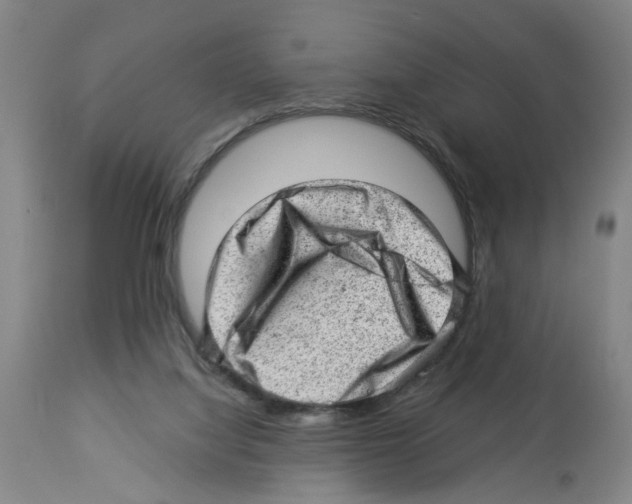 X0000112920068200910051118