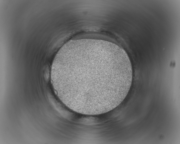 X0000112920069200910051118