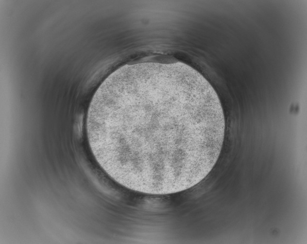 X0000112920070200910051118
