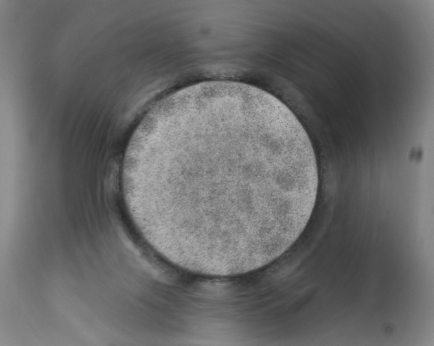 X0000112920071200910051118