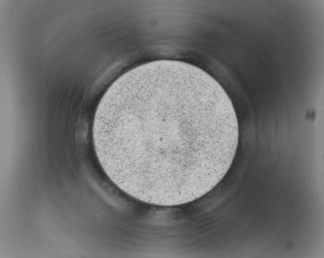 X0000112920072200910051118