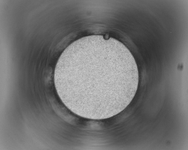 X0000112920073200910051118
