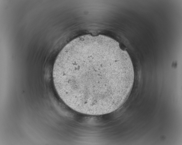 X0000112920074200910051118