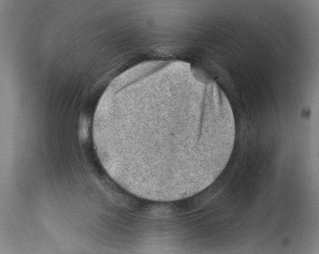 X0000112920075200910051118
