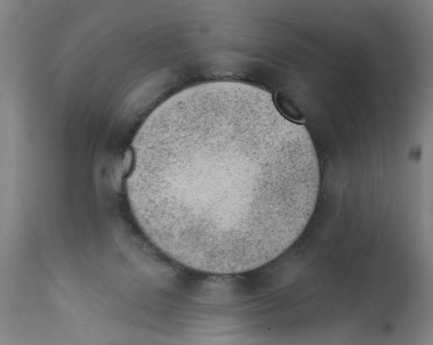 X0000112920076200910051118