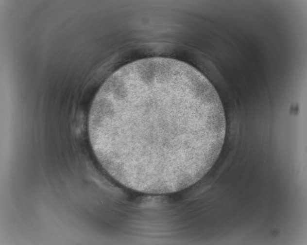X0000112920077200910051118