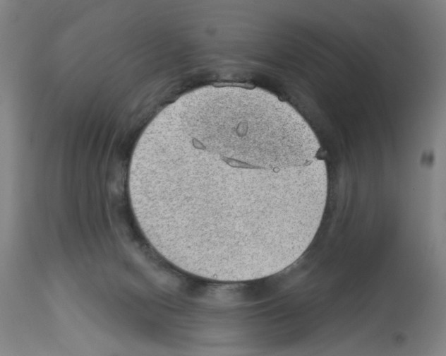 X0000112920078200910051118