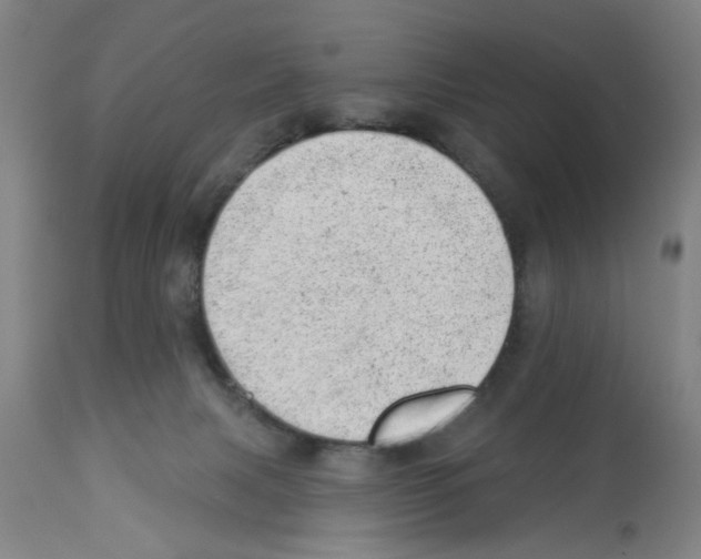 X0000112920079200910051118
