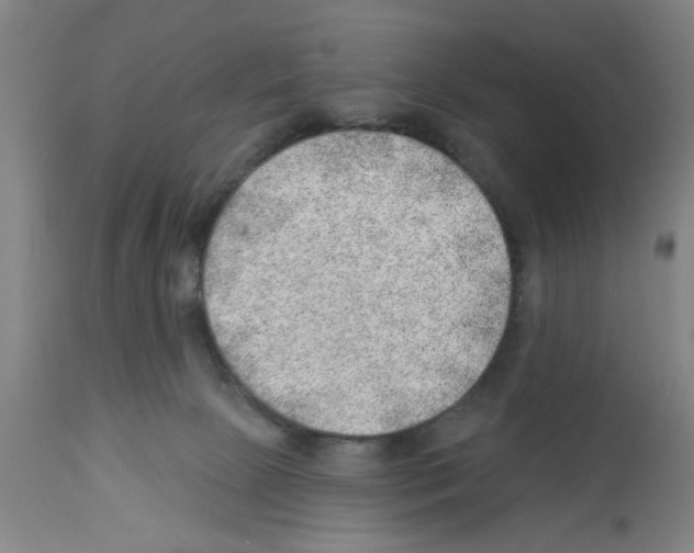X0000112920081200910051118