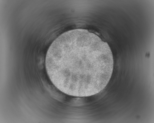 X0000112920082200910051118