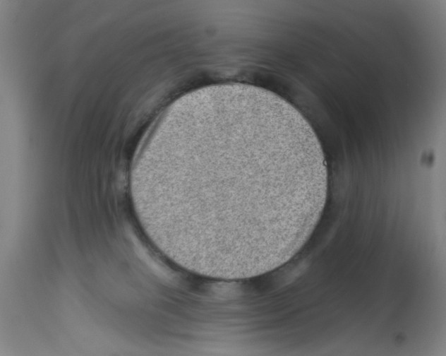 X0000112920085200910051118