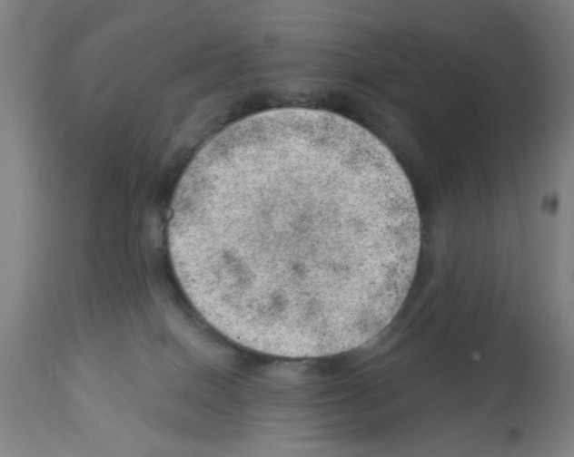 X0000112920086200910051118