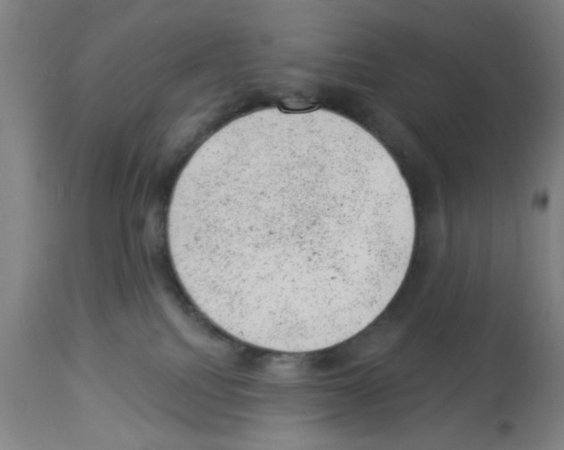 X0000112920088200910051118
