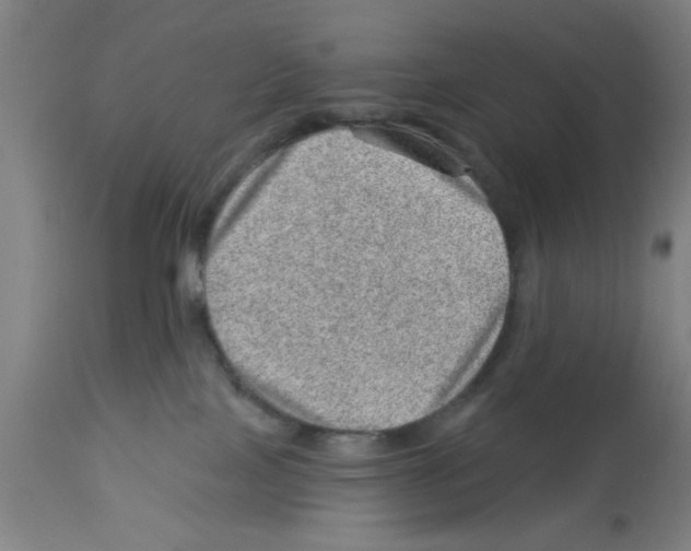 X0000112920089200910051118
