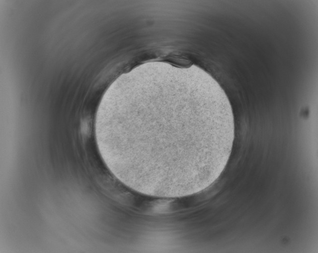X0000112920090200910051118