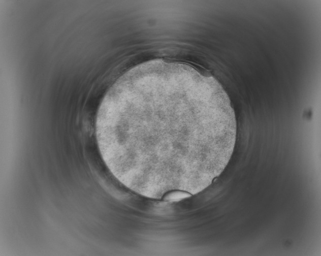 X0000112920091200910051118