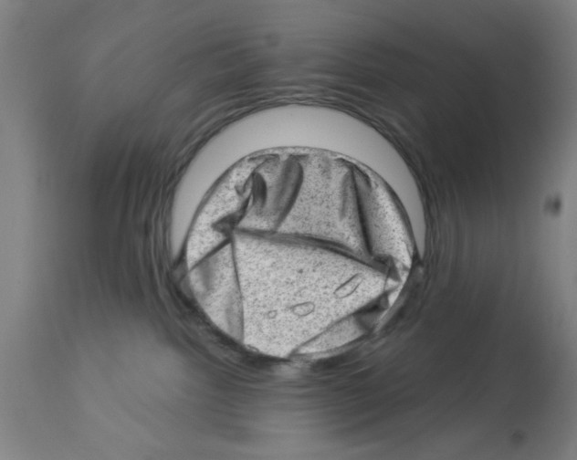 X0000112920092200910051118