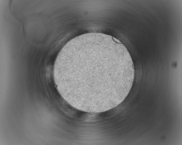 X0000112920093200910051118