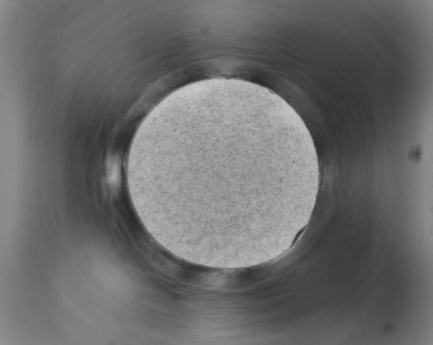 X0000112920094200910051118