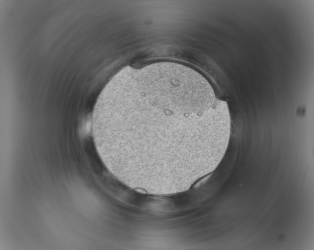 X0000112920095200910051118