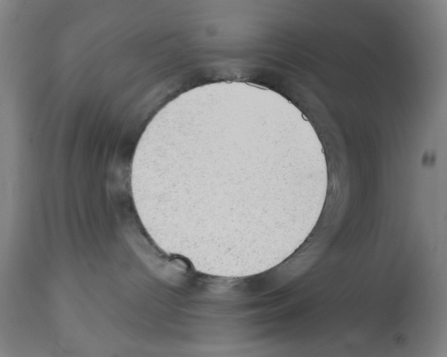 X0000112920096200910051118