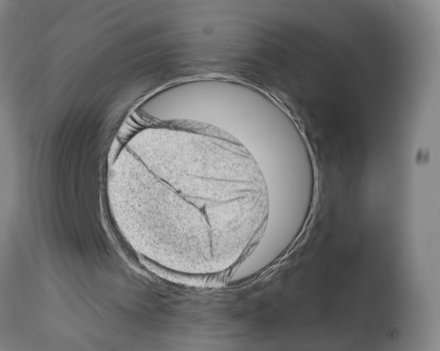 X0000112920097200910051118