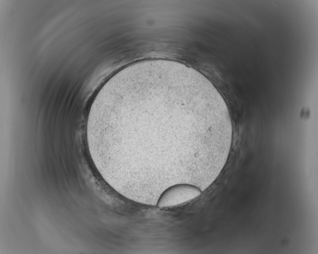 X0000112920098200910051118