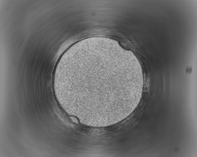 X0000112920099200910051118