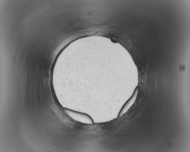 X0000112920100200910051118
