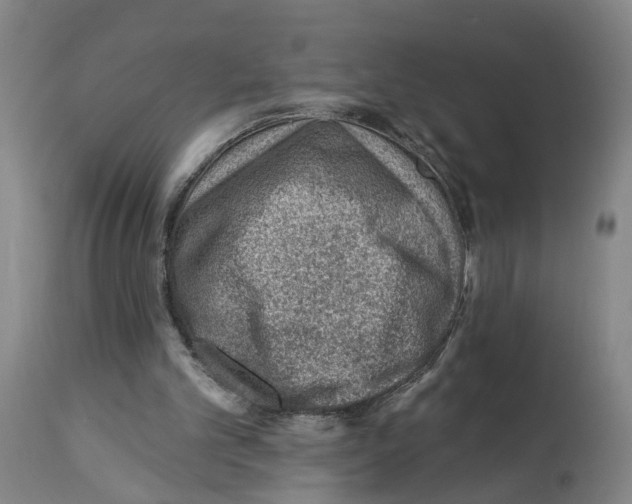 X0000112920101200910051118