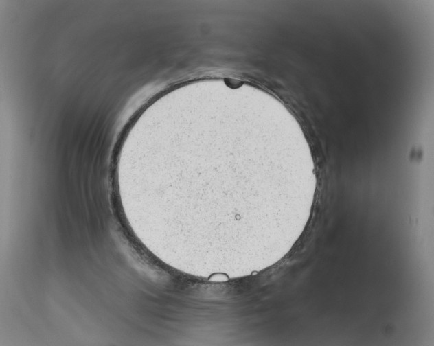 X0000112920104200910051117