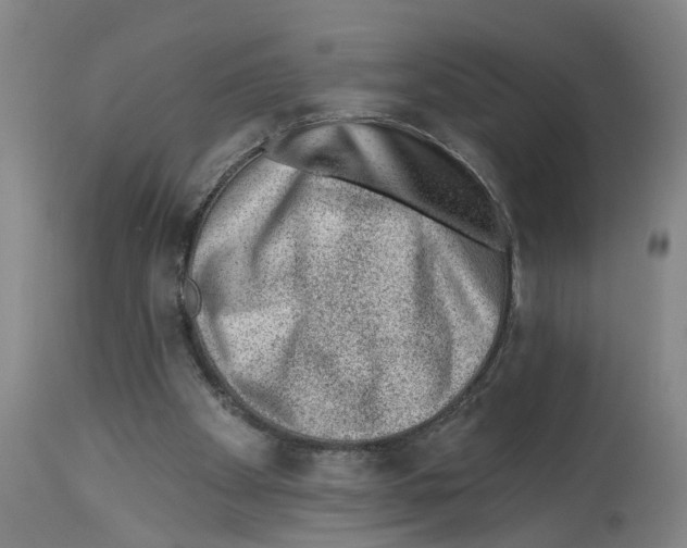 X0000112920105200910051117