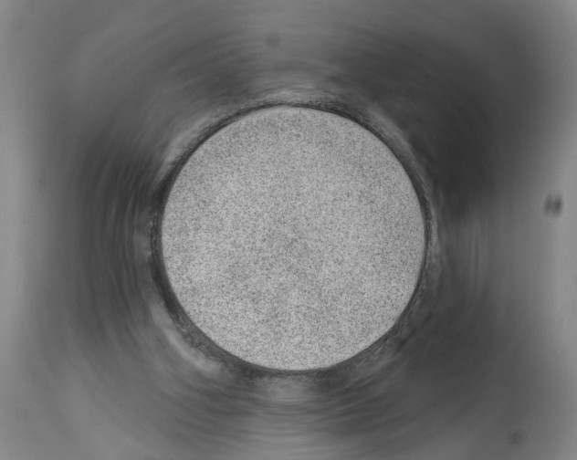 X0000112920106200910051117