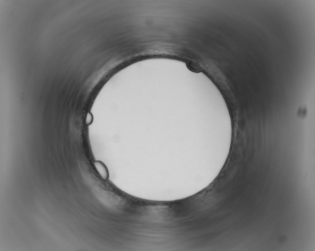 X0000112920108200910051117