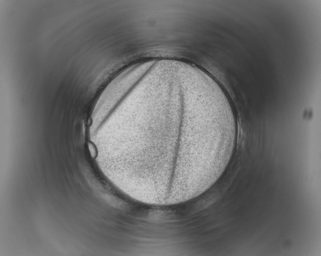 X0000112920109200910051117