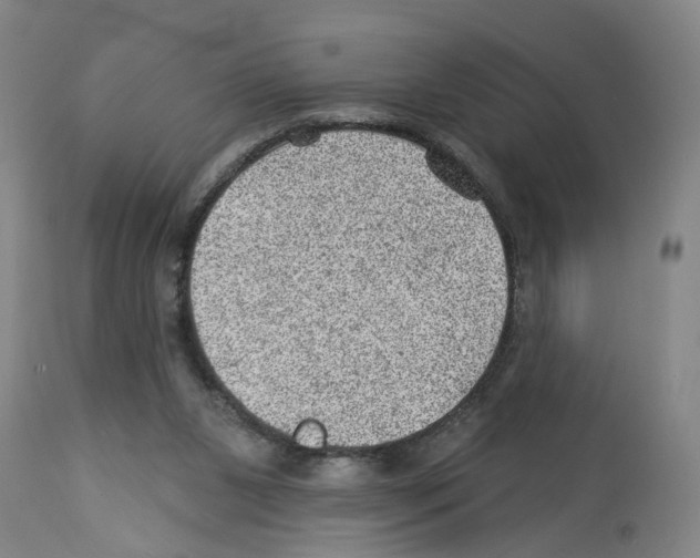 X0000112920111200910051117