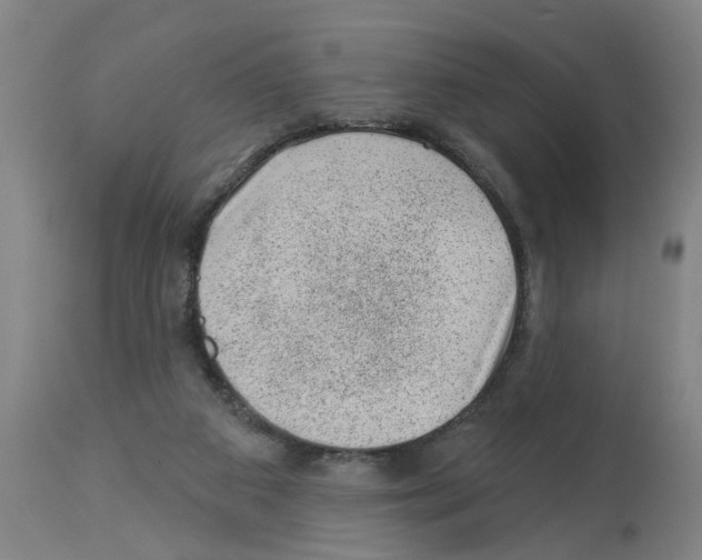 X0000112920113200910051117