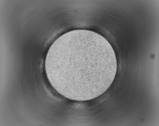 X0000112920115200910051117