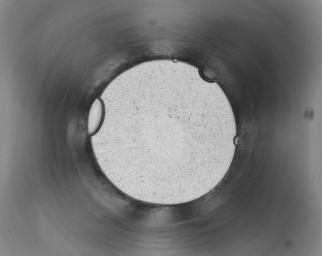 X0000112920116200910051117